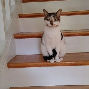 Meet your Posher, Kelli